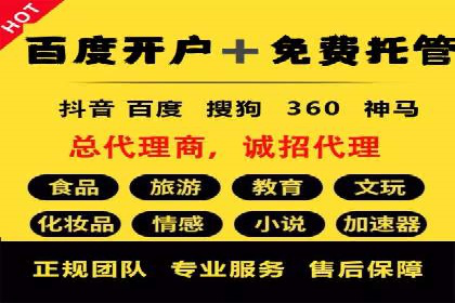 解析某某SEM服务公司的广告投放策略与效果评估